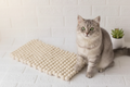 Snowy Dreams - Wool Ball Pet Bed Mat for Cats & Small Dogs