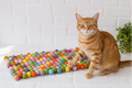 Rainbow Dreams - Wool Ball Pet Bed Mat for Cats & Small Dogs