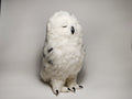 Snow Owl Sculpture
